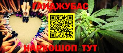 гашик Ливны