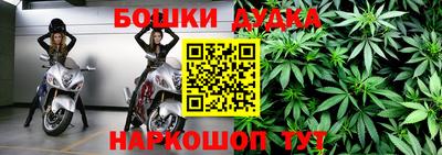 гашик Ливны